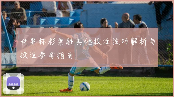 世界杯彩票胜其他投注技巧解析与投注参考指南